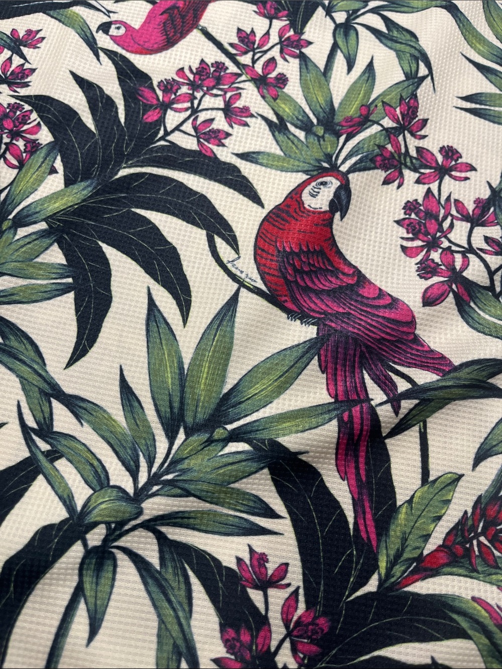 adidas Cream Green Pink Tropical Parrot Short Sleeve Tee - Picture 4 of 9